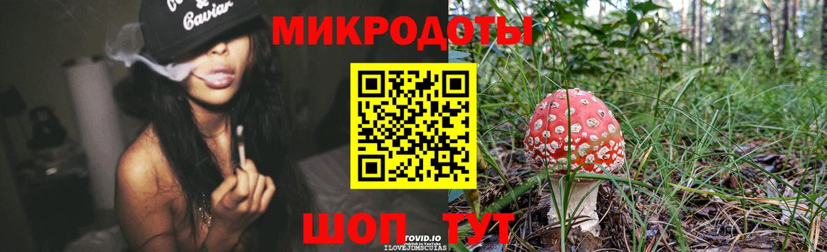 Галлюциногенные грибы прущие грибы Кизилюрт