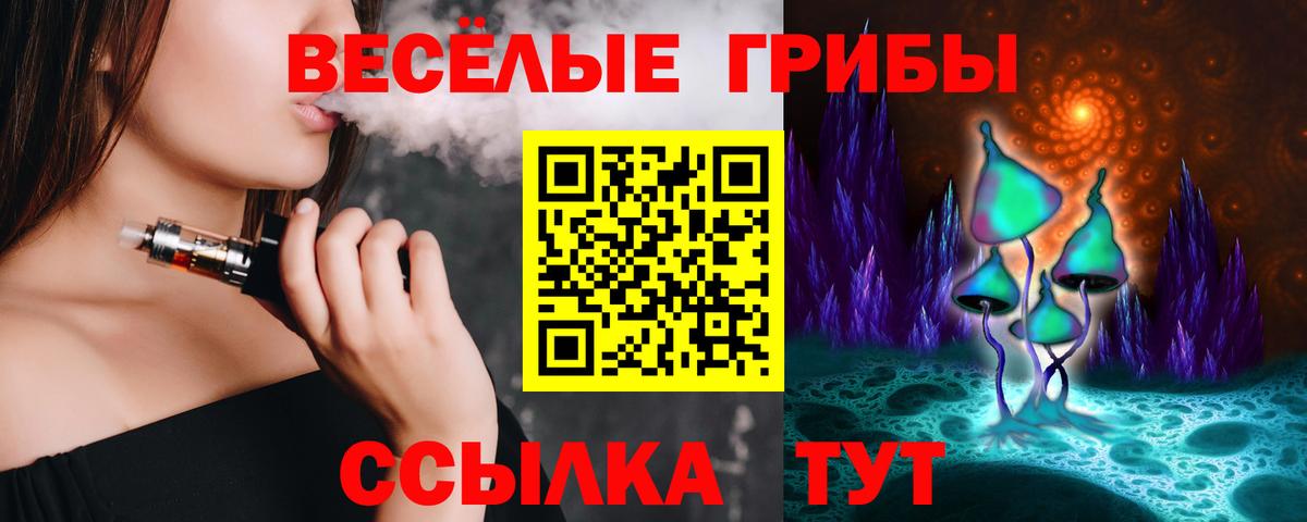 Кизилюрт  Псилоцибиновые грибы Psilocybe  Вход с VPN 